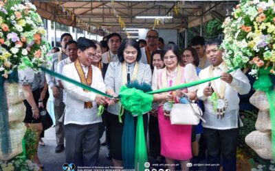 CALABARZON EMBRACES  INNOVATIONS FOR SUSTAINABLE  FUTURE AT DOST’s RSTIW   